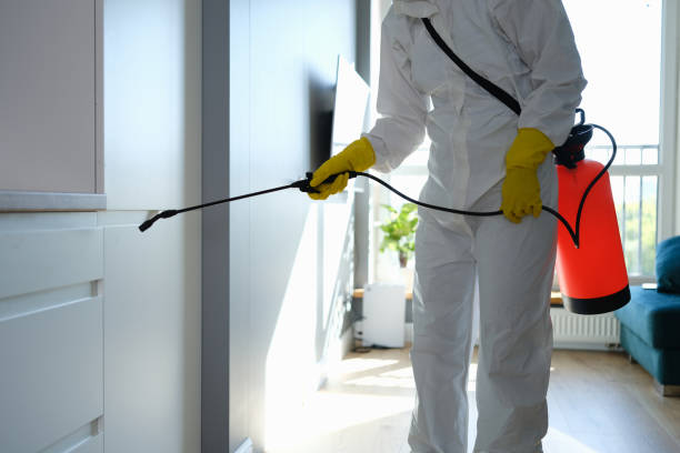 Best Residential Mold Removal  in Norfolk, NE
