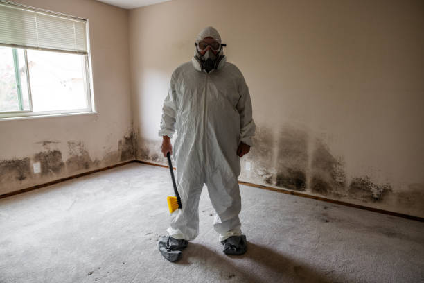 Mold Testing and Removal in Norfolk, NE